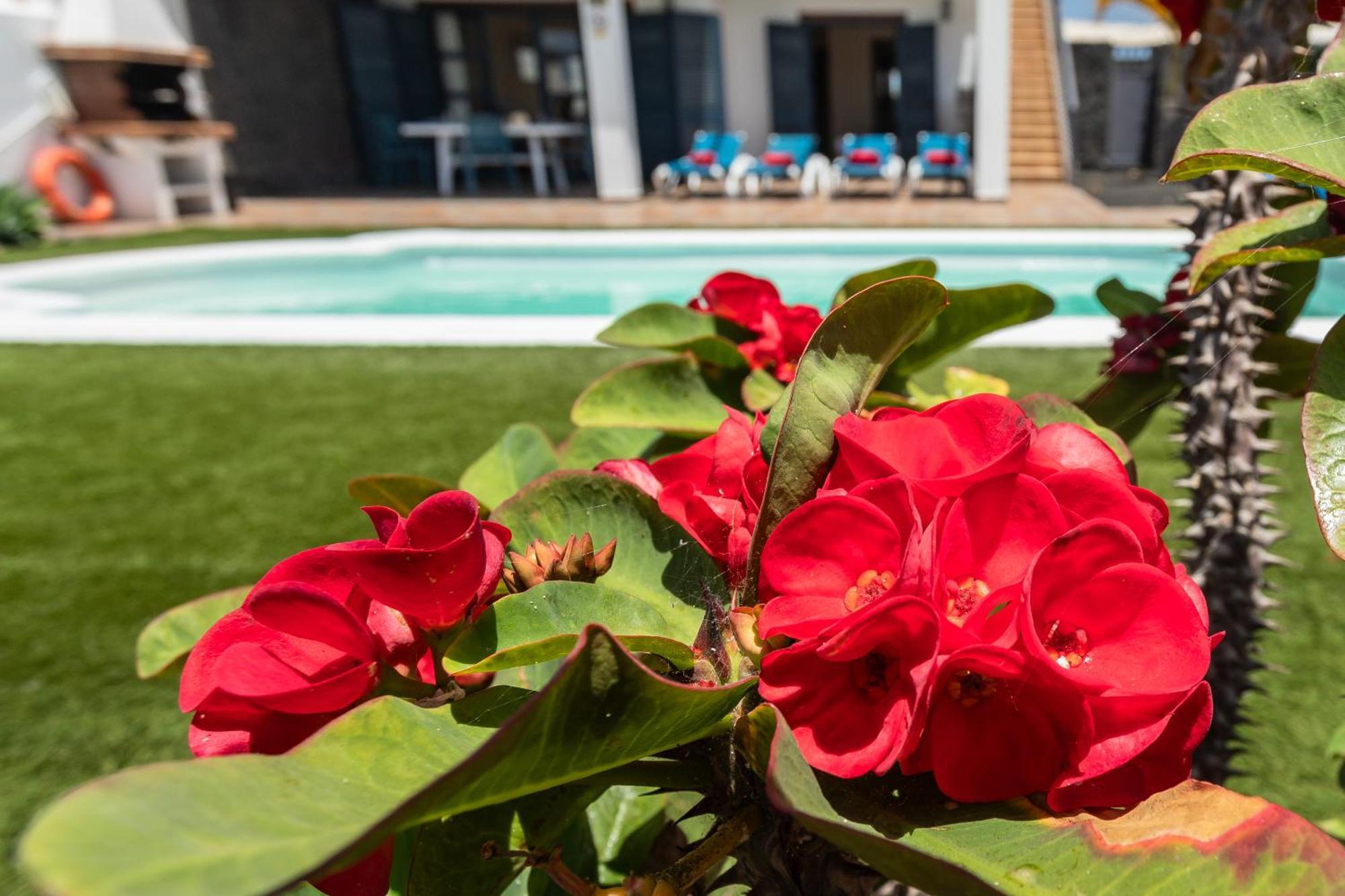 Villas Susaeta Playa Blanca Dış mekan fotoğraf
